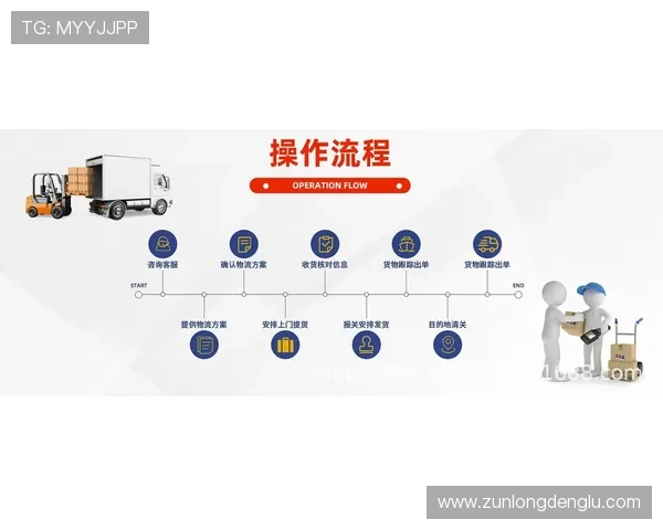 探索尊龙凯时手机版会员登录的操作流程与注意事项