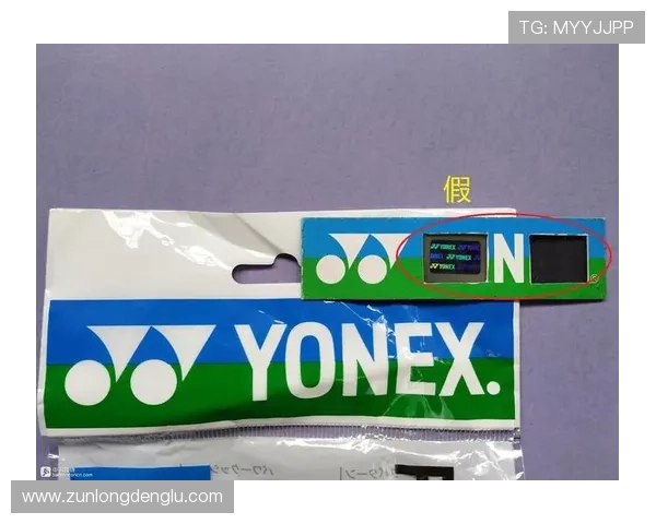 揭秘尊龙凯时在线地址的使用流程与注意事项 揭秘尊龙凯时在线地址的使用流程与注意事项