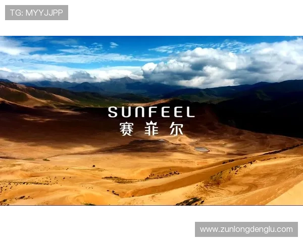 尊龙凯时官方旗舰店会员专属福利详细介绍享受更多专属优惠和优先体验权利