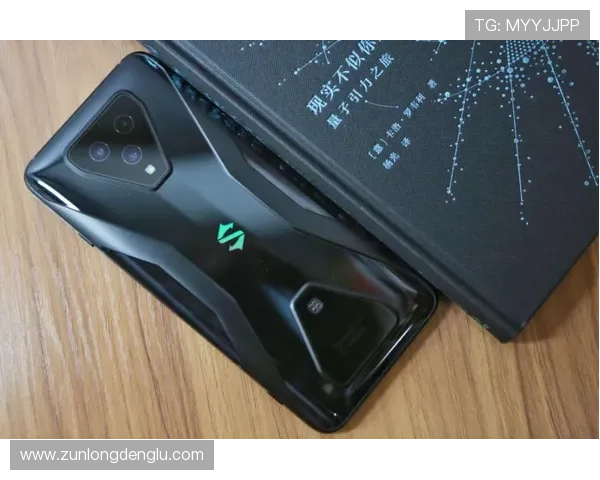 尊龙d88会员登录入口指南帮助玩家快速安全登录平台体验优质游戏服务