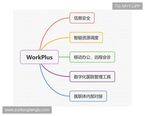 凯时备用平台的安全措施与隐私保护策略详解保障玩家信息安全
